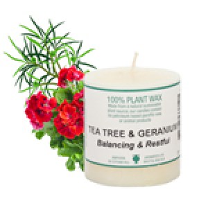 812_e.o. candle 2x2_tee t&ger_150x1580.jpg